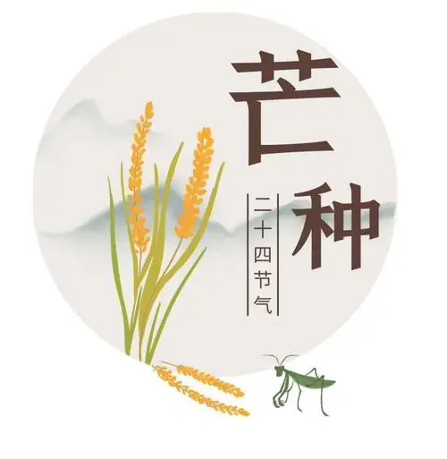 传统节气芒种│风吹麦浪绿渐黄 蝉鸣一声夏始忙