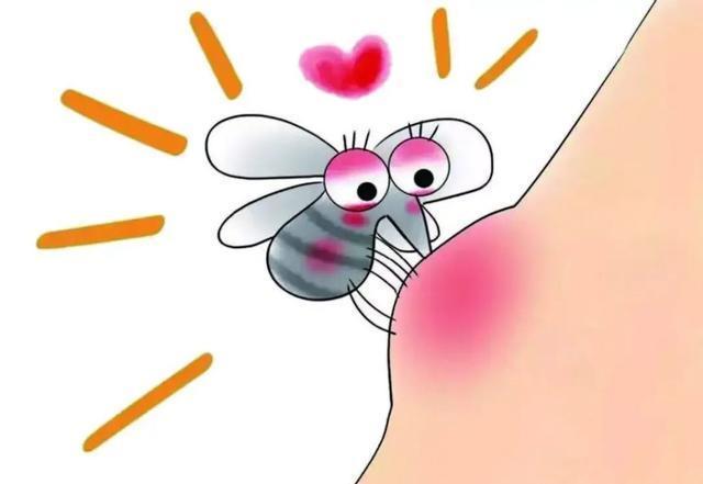 被蚊子咬了怎么办？医生教你三步能快速止痒消肿！